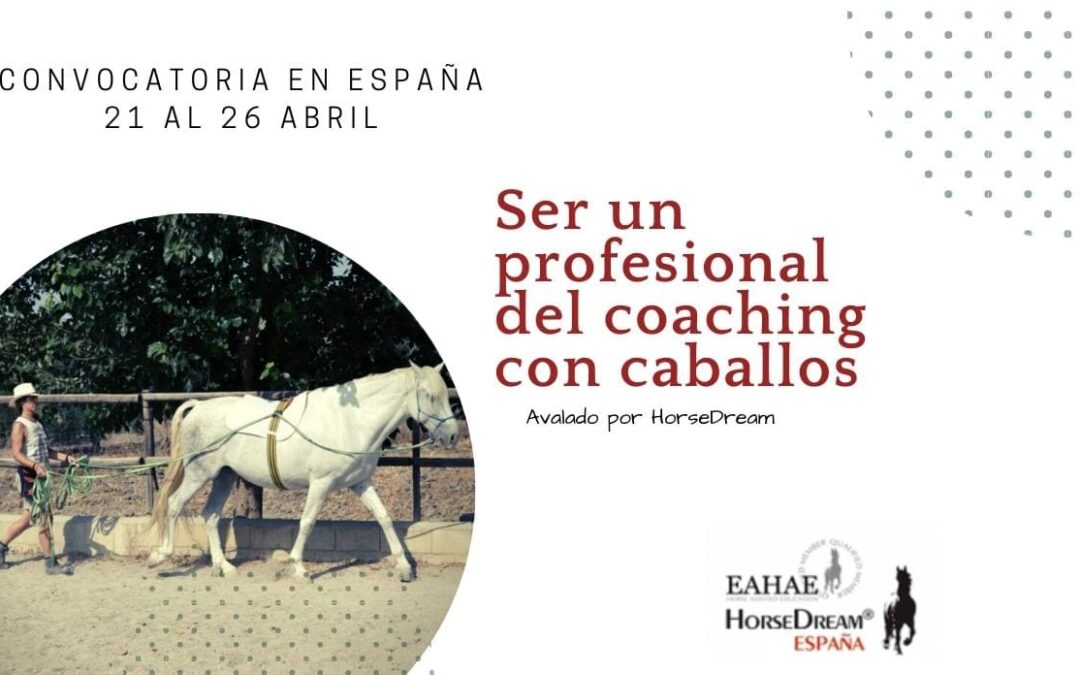 Para qué Ser un profesional del Coaching con caballos