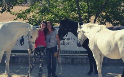 Caballo Alado y HorseDream España